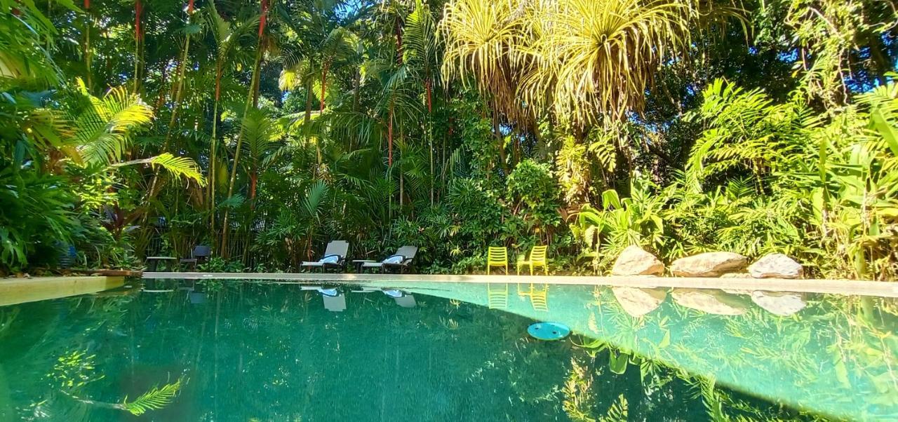 Daintree Rainforest Retreat Motel Extérieur photo