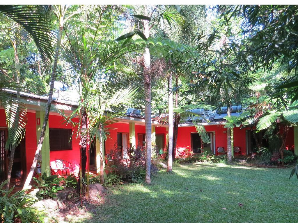 Daintree Rainforest Retreat Motel Extérieur photo