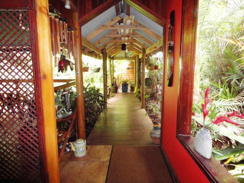 Daintree Rainforest Retreat Motel Extérieur photo