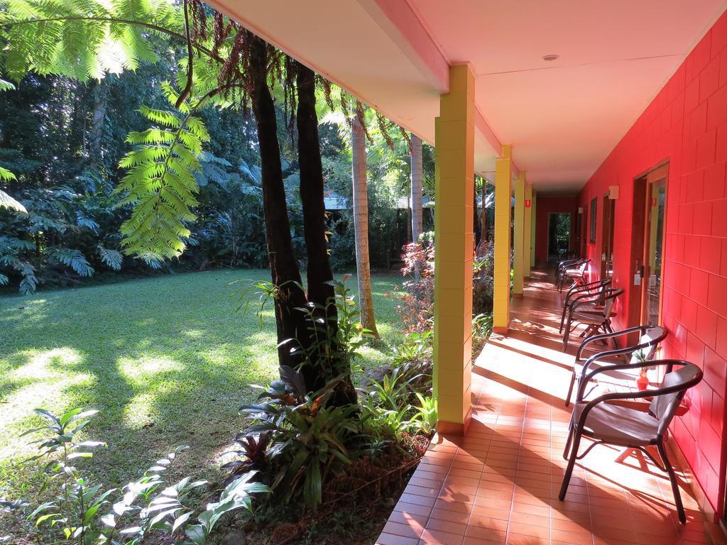 Daintree Rainforest Retreat Motel Extérieur photo
