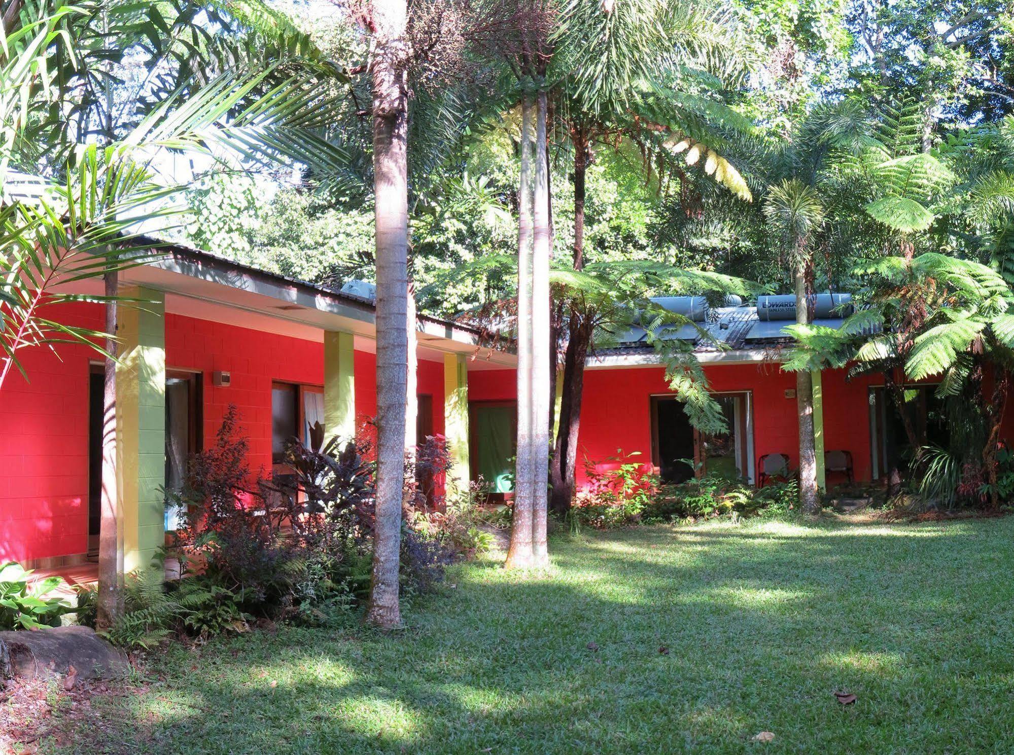 Daintree Rainforest Retreat Motel Extérieur photo